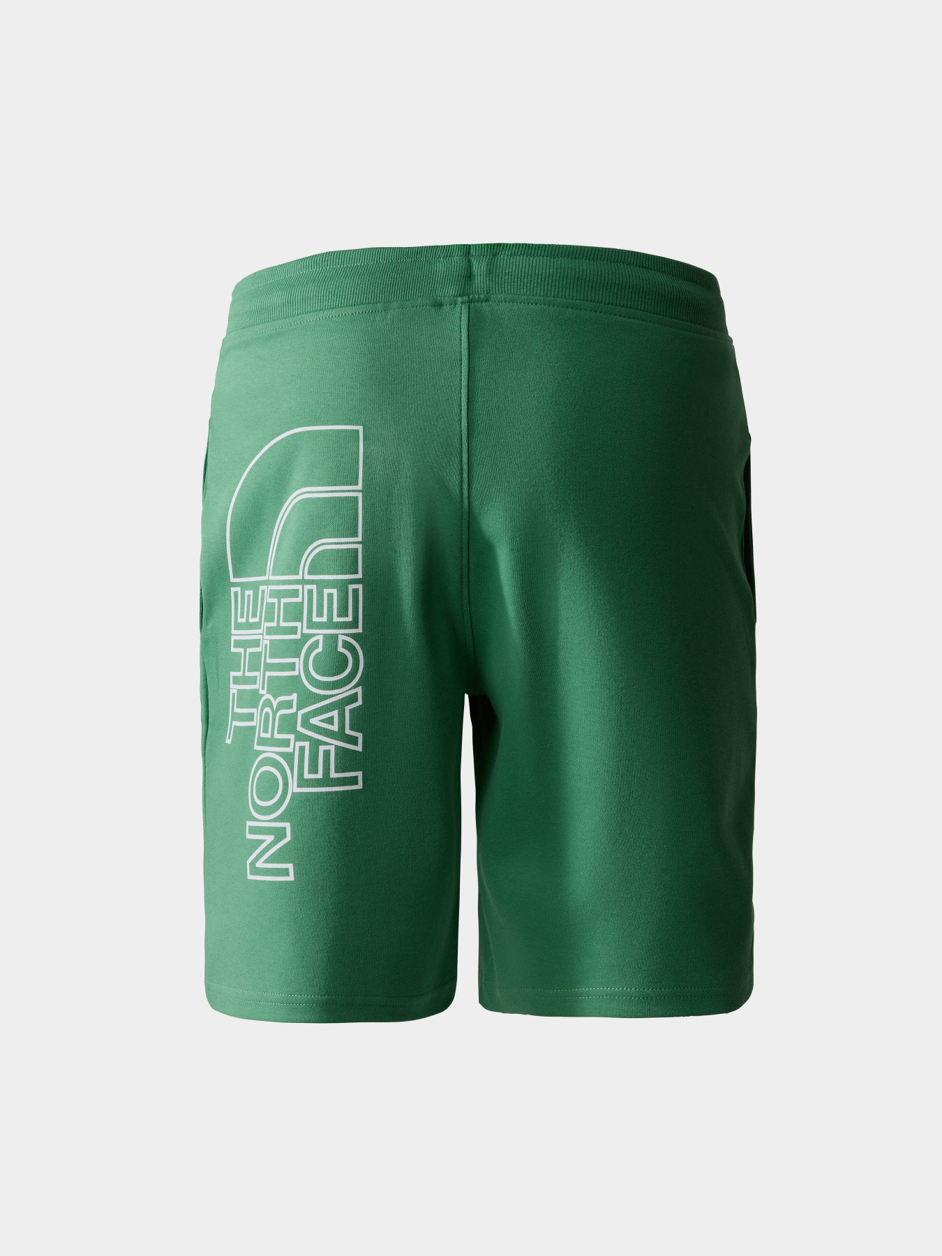 Шорты The North Face GRAPHIC модель NF0A3S4FN111 Шорты The North Face GRAPHIC модель NF0A3S4FN111 Фото