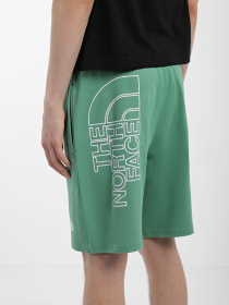 Шорты The North Face GRAPHIC модель NF0A3S4FN111 Фото