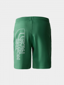 Шорты The North Face GRAPHIC модель NF0A3S4FN111 Фото