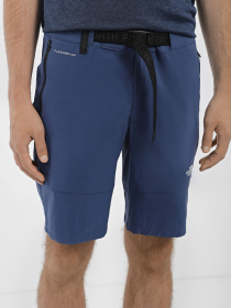 Шорты The North Face Lightning модель NF0A495OHDC1 Фото