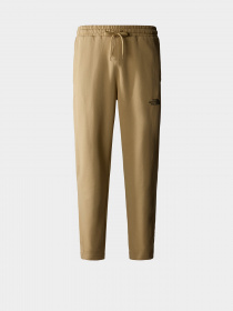 Брюки The North Face Standard модель NF0A4M7LLK51 Фото