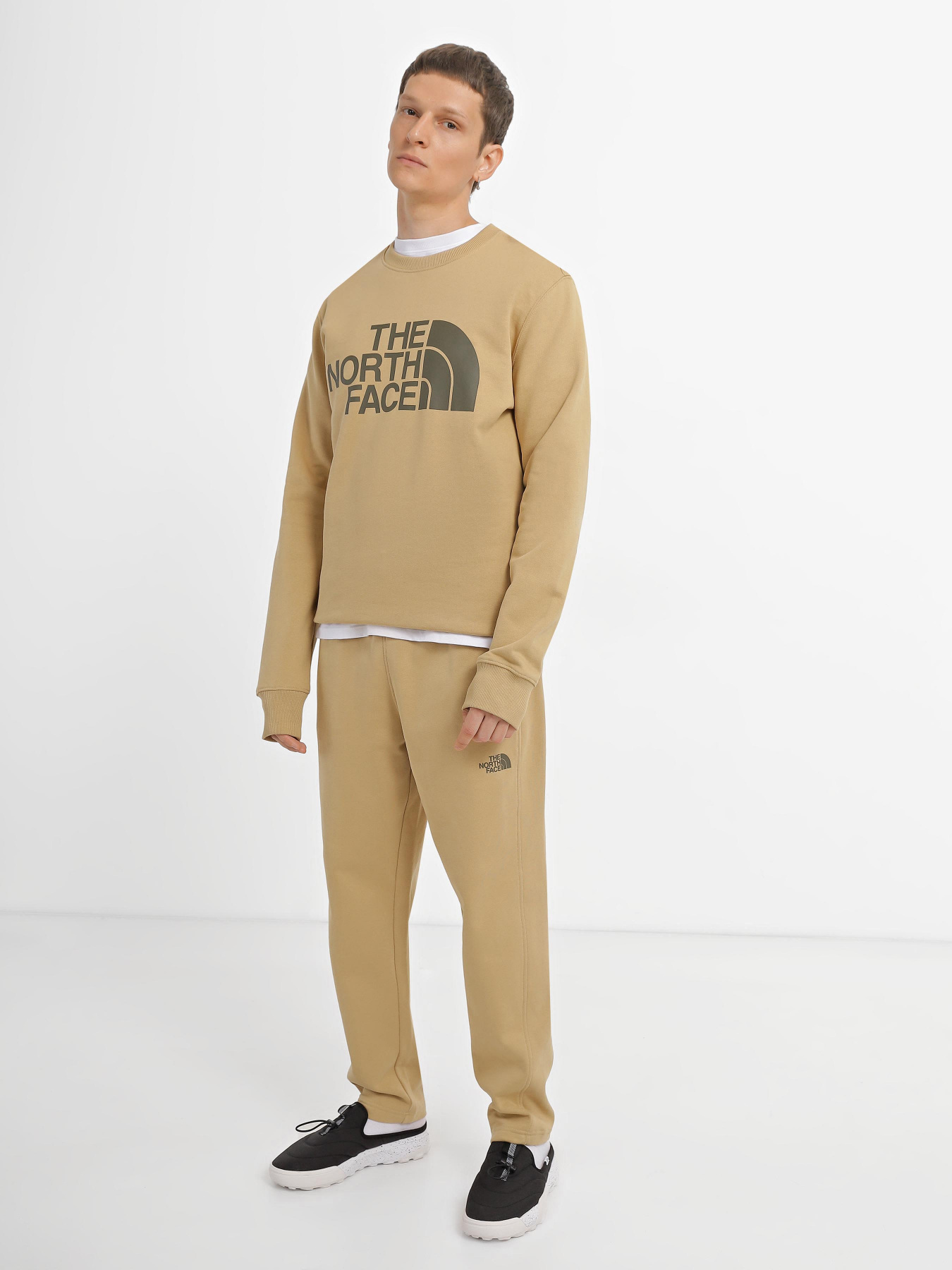 Худи и свитшоты The North Face Standard модель NF0A4M7WLK51 Худи и свитшоты The North Face Standard модель NF0A4M7WLK51 Фото