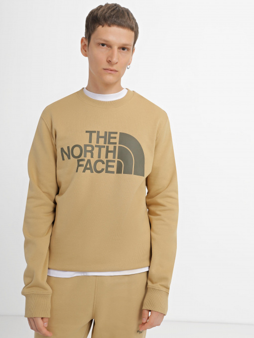 Худи и свитшоты The North Face Standard модель NF0A4M7WLK51 Фото