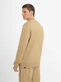 Худи и свитшоты The North Face Standard модель NF0A4M7WLK51 Фото