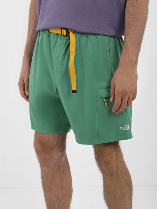 Шорты The North Face Class V Belt модель NF0A55V8N111 Фото