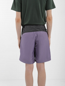 Шорти The North Face Hydrenaline™ 2000 модель NF0A5J4JN141 Фото