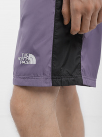 Шорти The North Face Hydrenaline™ 2000 модель NF0A5J4JN141 Фото