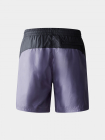 Шорти The North Face Hydrenaline™ 2000 модель NF0A5J4JN141 Фото
