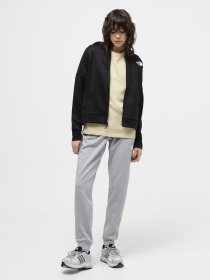 Худи и свитшоты The North Face  Reaxion Fleece модель NF0A7ZAAJK31 Фото