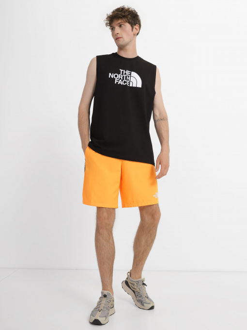Шорты The North Face Mountain Athletics модель NF0A7ZAPISA1 Фото