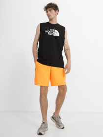 Шорты The North Face Mountain Athletics модель NF0A7ZAPISA1 Фото
