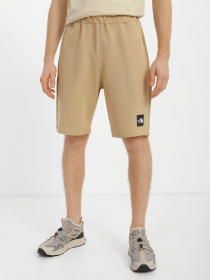 Шорты The North Face Summer Logo модель NF0A8237LK51 Фото