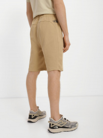 Шорты The North Face Summer Logo модель NF0A8237LK51 Фото