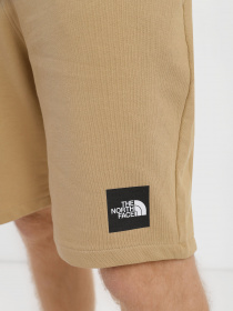 Шорты The North Face Summer Logo модель NF0A8237LK51 Фото