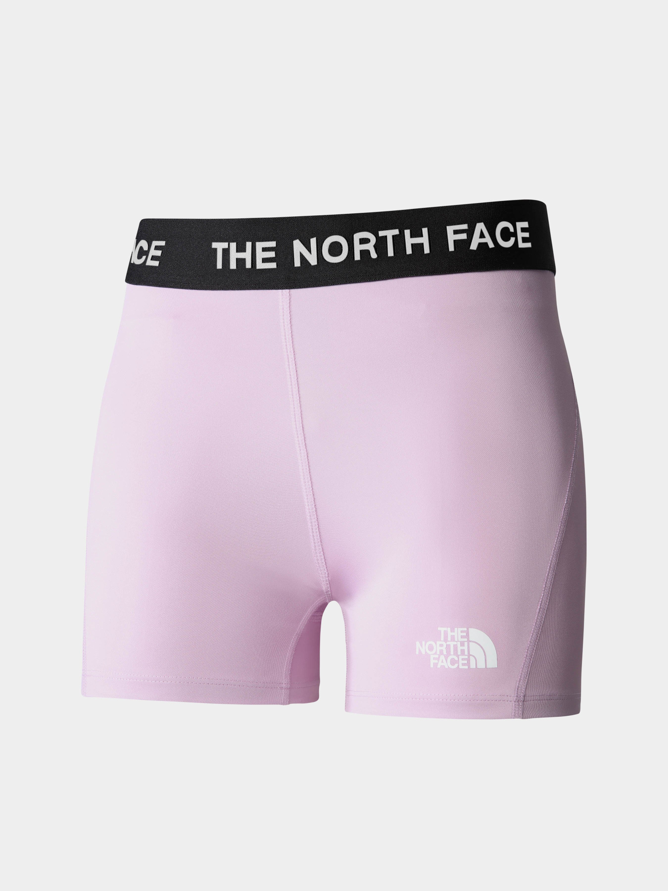 Шорти The North Face Training модель NF0A824NHCP1 Фото