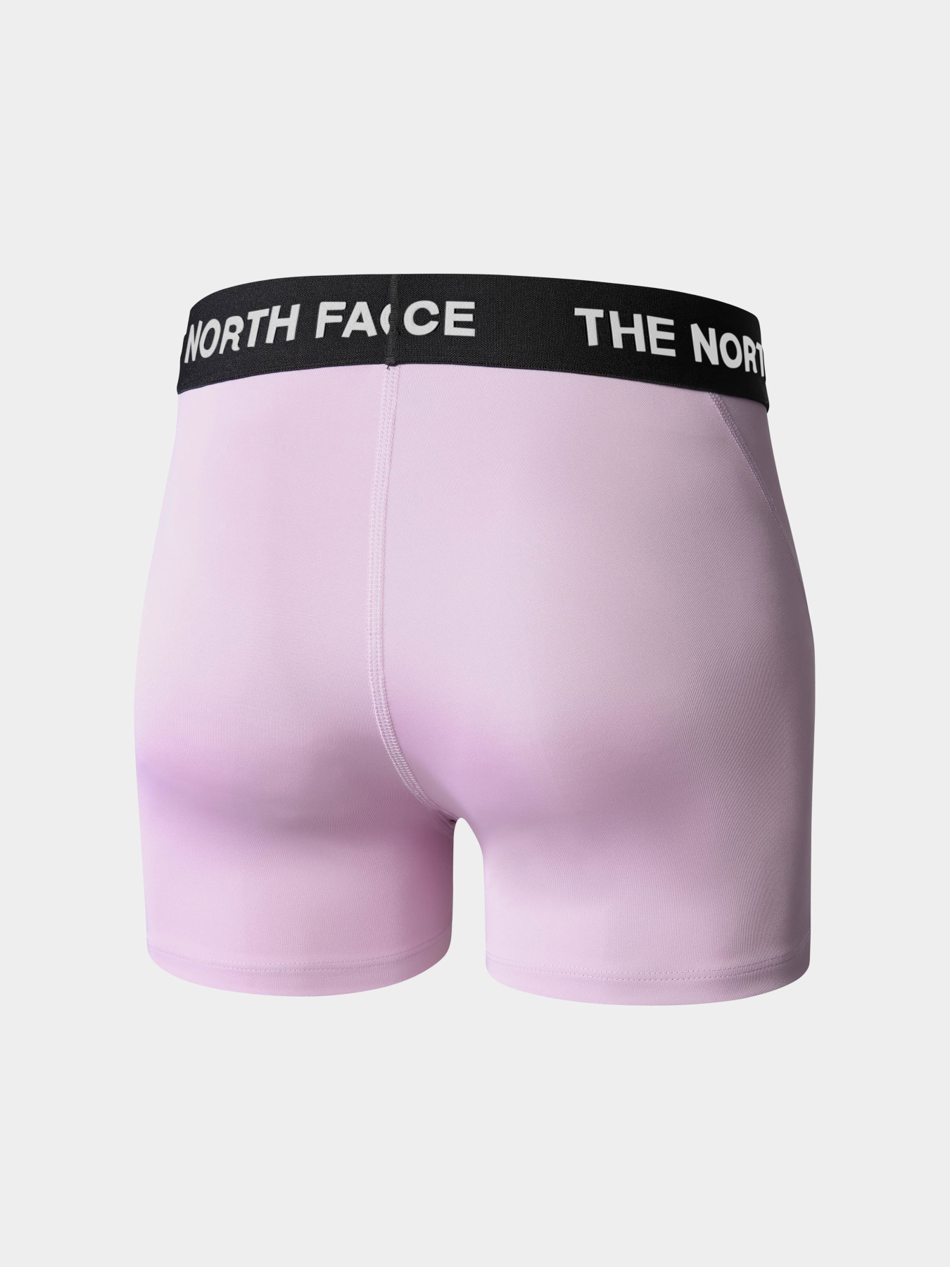 Шорти The North Face Training модель NF0A824NHCP1 Фото