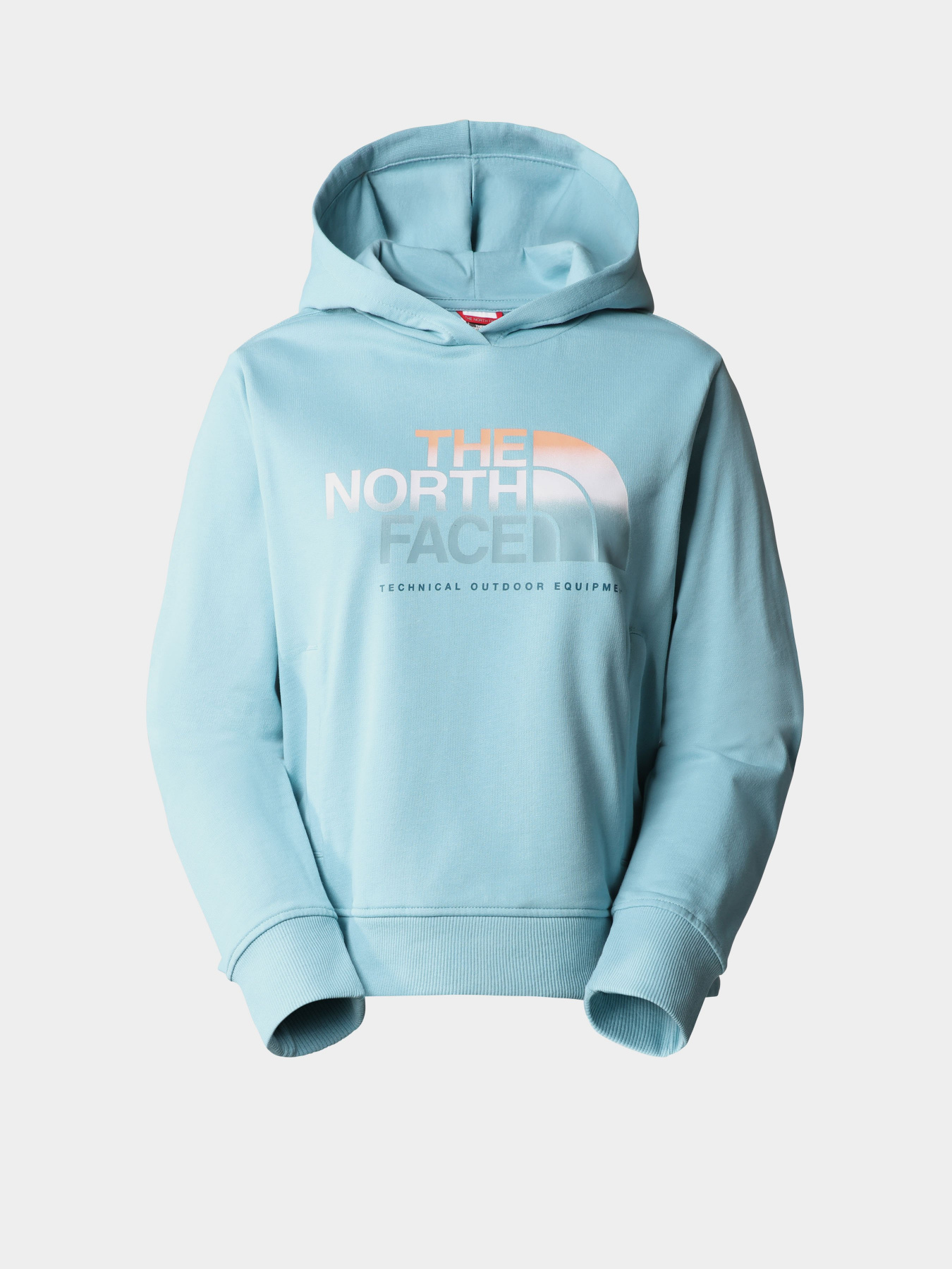 Худі та світшоти The North Face D2 Graphic модель NF0A83FGLV21 Худі та світшоти The North Face D2 Graphic модель NF0A83FGLV21 Фото