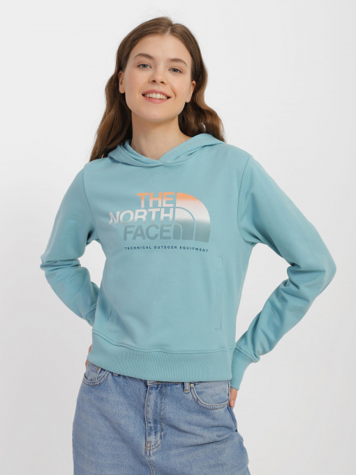Худи и свитшоты The North Face D2 Graphic модель NF0A83FGLV21 Фото