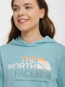 Худі та світшоти The North Face D2 Graphic модель NF0A83FGLV21 Фото