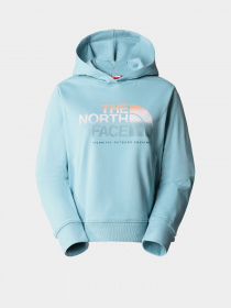 Худі та світшоти The North Face D2 Graphic модель NF0A83FGLV21 Фото