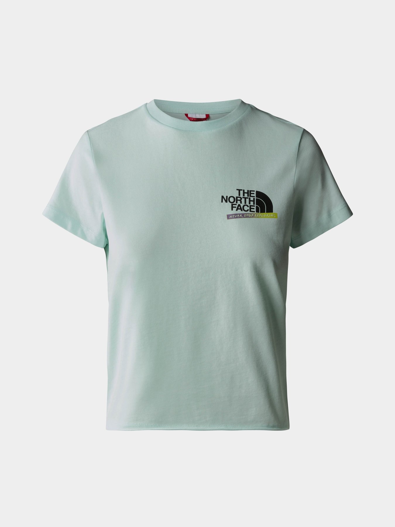 Футболки и поло The North Face Graphic модель NF0A83FJLV51 Футболки и поло The North Face Graphic модель NF0A83FJLV51 Фото