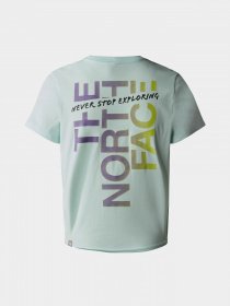 Футболки и поло The North Face Graphic модель NF0A83FJLV51 Фото