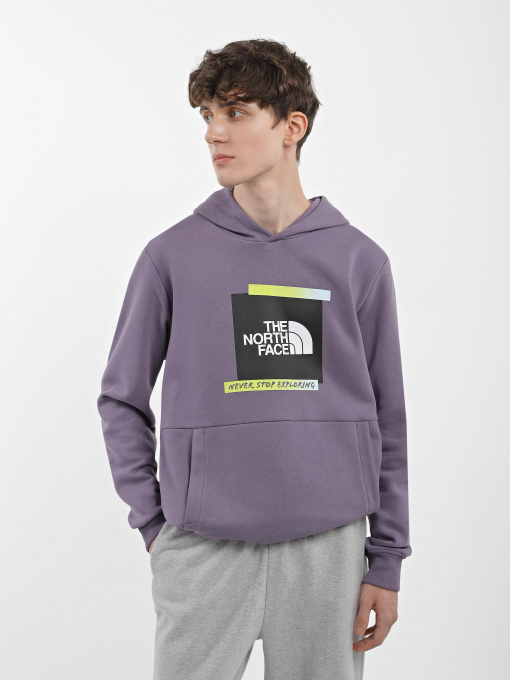 Худи и свитшоты The North Face Graphic модель NF0A83FKN141 Фото