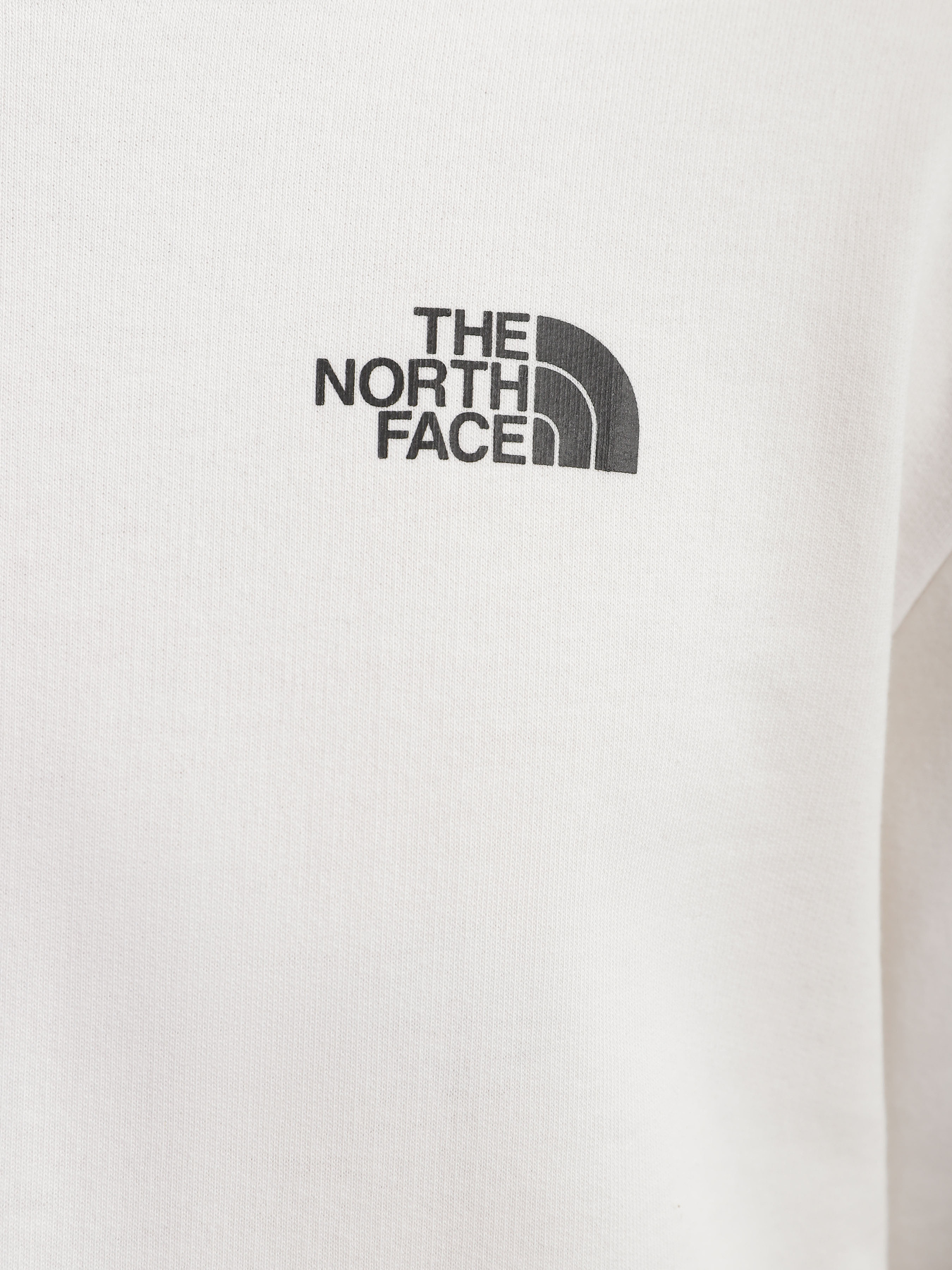 Худі та світшоти The North Face Graphic модель NF0A83FON3N1 Худі та світшоти The North Face Graphic модель NF0A83FON3N1 Фото