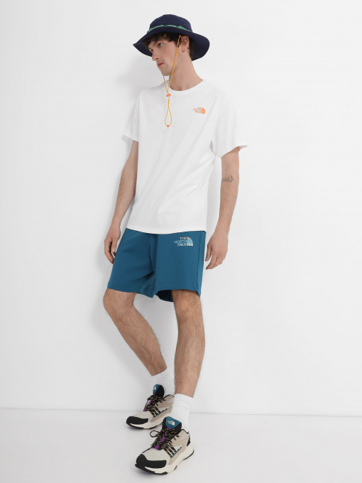 Шорты The North Face Graphic модель NF0A83FREFS1 Фото