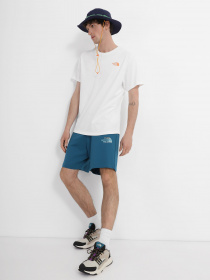 Шорты The North Face Graphic модель NF0A83FREFS1 Фото