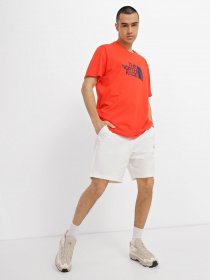 Шорты The North Face Graphic модель NF0A83FRN3N1 Фото