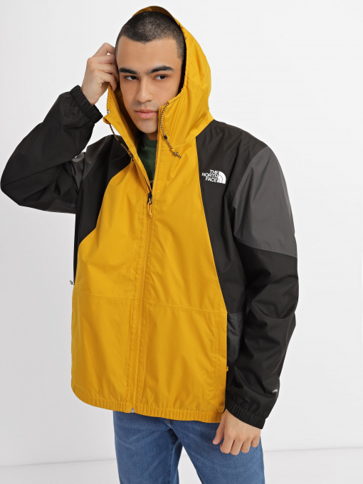 Куртки и дубленки The North Face Farside модель NF0A493EH9D1 Фото