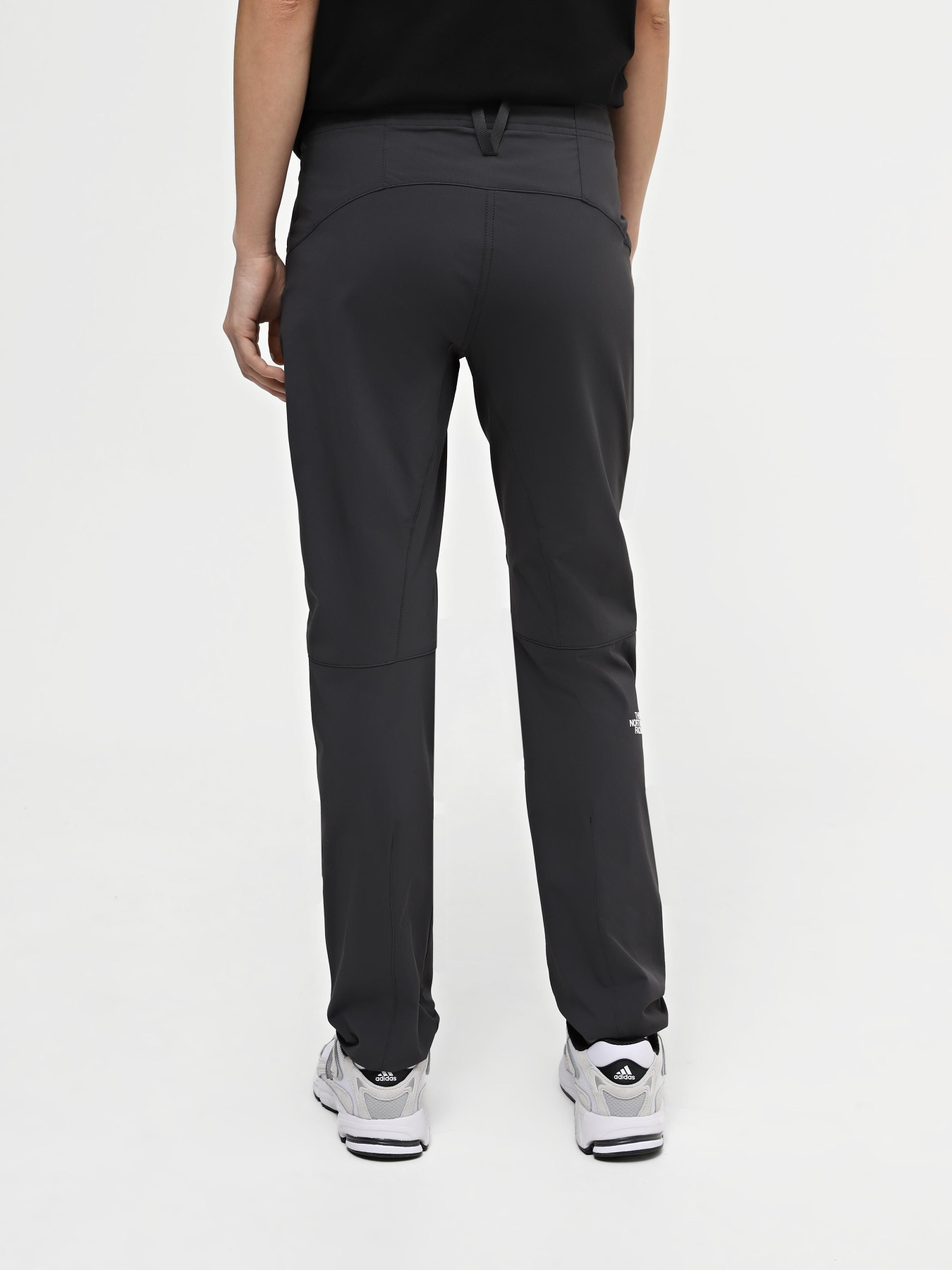 Брюки The North Face Speedlight модель NF0A7Z8A0C51 Фото
