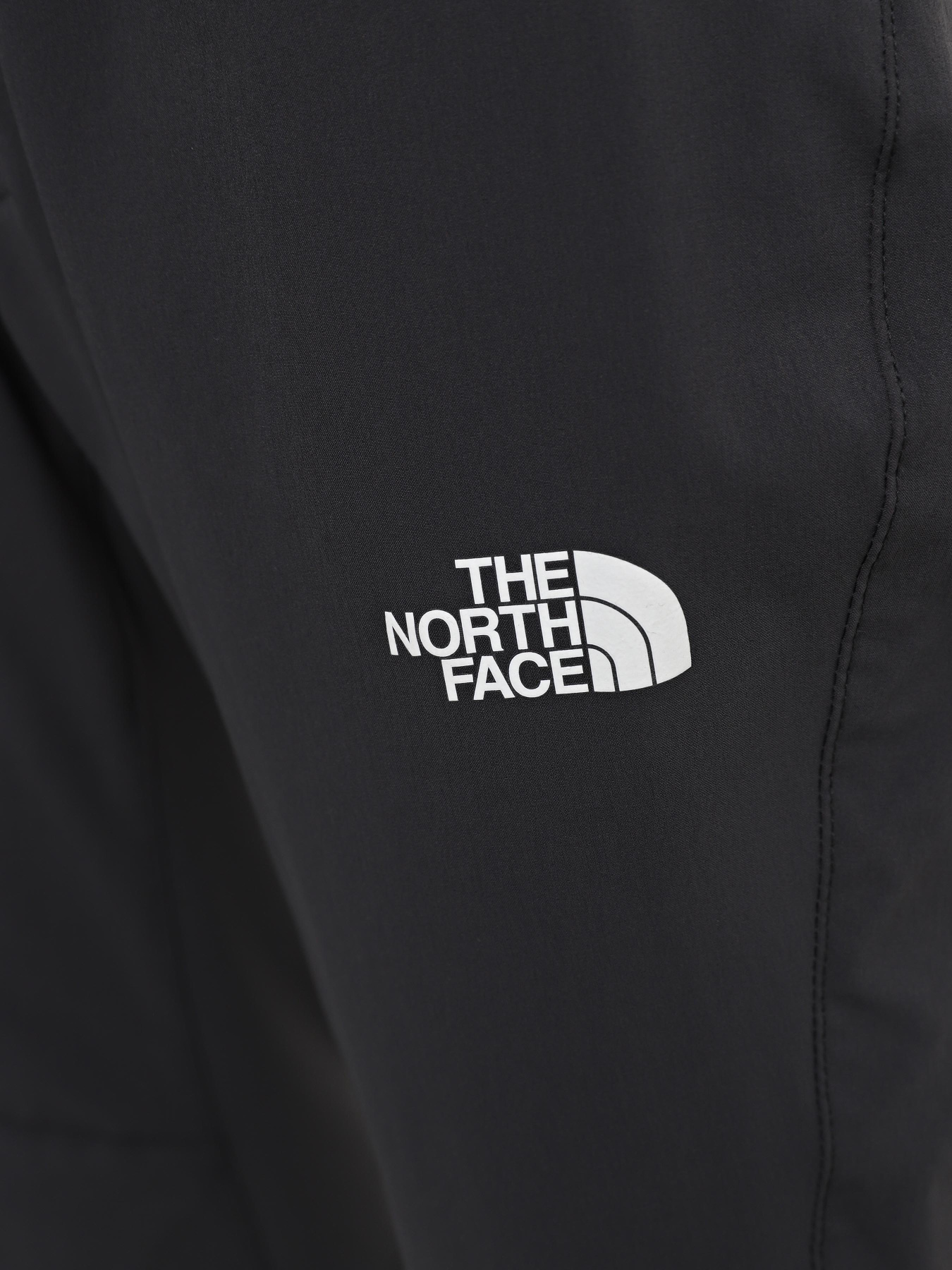 Брюки The North Face Speedlight модель NF0A7Z8A0C51 Фото