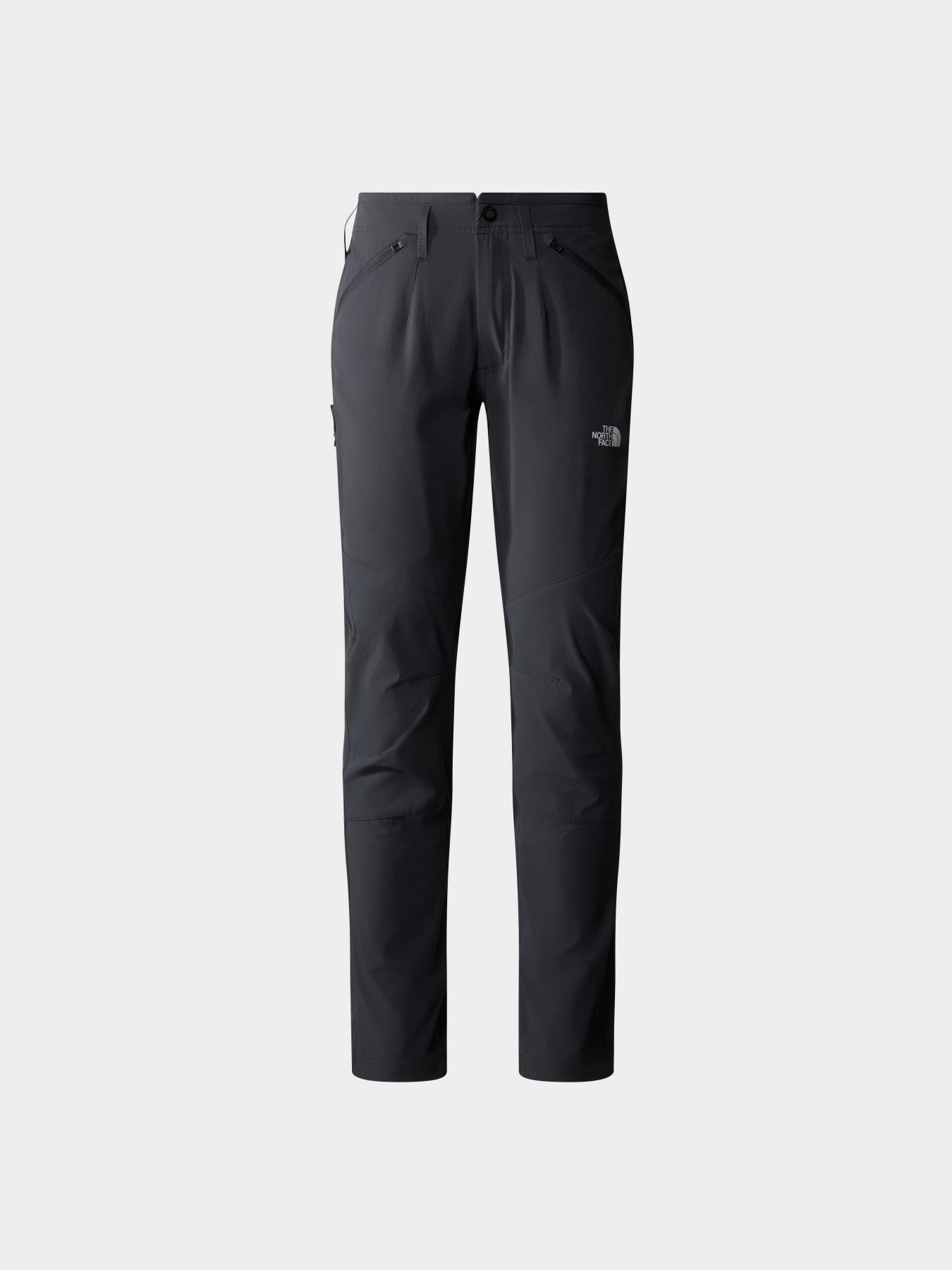 Брюки The North Face Speedlight модель NF0A7Z8A0C51 Фото