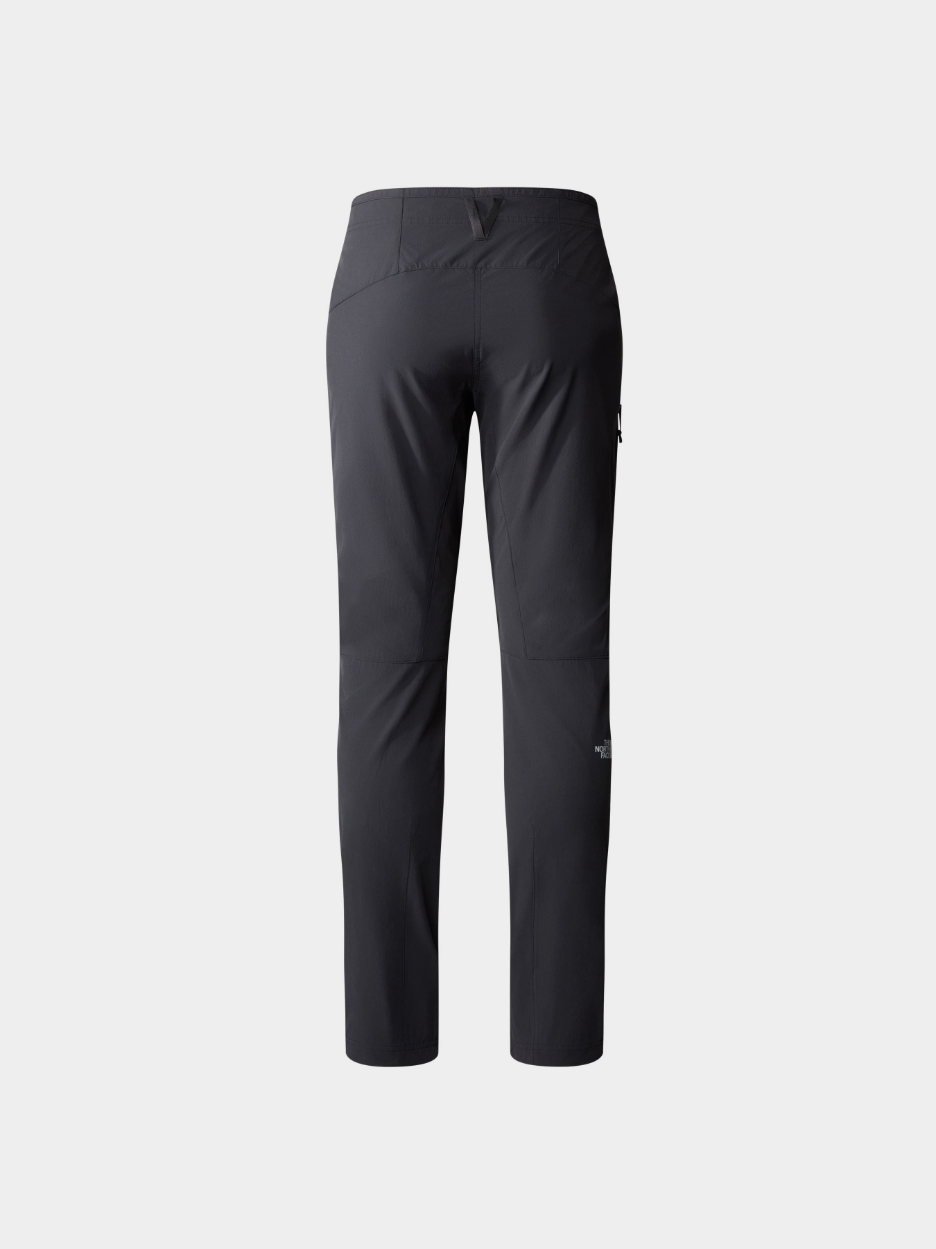 Брюки The North Face Speedlight модель NF0A7Z8A0C51 Фото