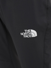 Брюки The North Face Speedlight модель NF0A7Z8A0C51 Фото