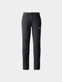 Брюки The North Face Speedlight модель NF0A7Z8A0C51 Фото