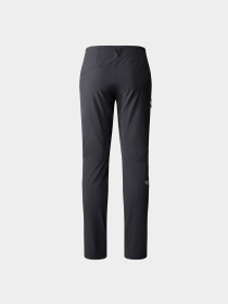 Брюки The North Face Speedlight модель NF0A7Z8A0C51 Фото