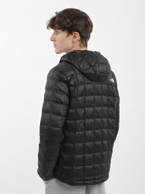 Куртки и дубленки The North Face Thermoball Eco модель NF0A5GLKJK31 Фото