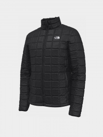 Куртки и дубленки The North Face Thermoball Eco модель NF0A5GLKJK31 Фото