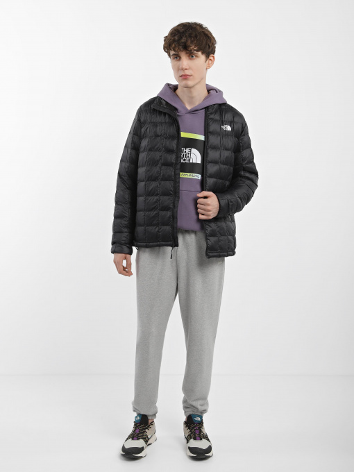 Куртки и дубленки The North Face Thermoball Eco модель NF0A5GLLJK31 Фото