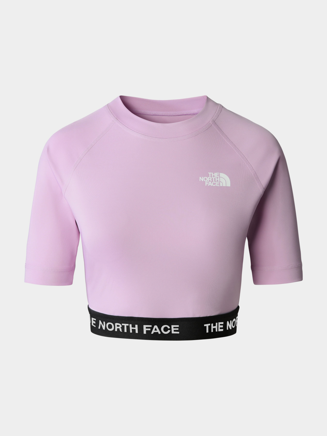Футболки і поло The North Face Performance модель NF0A824FHCP1 Футболки і поло The North Face Performance модель NF0A824FHCP1 Фото