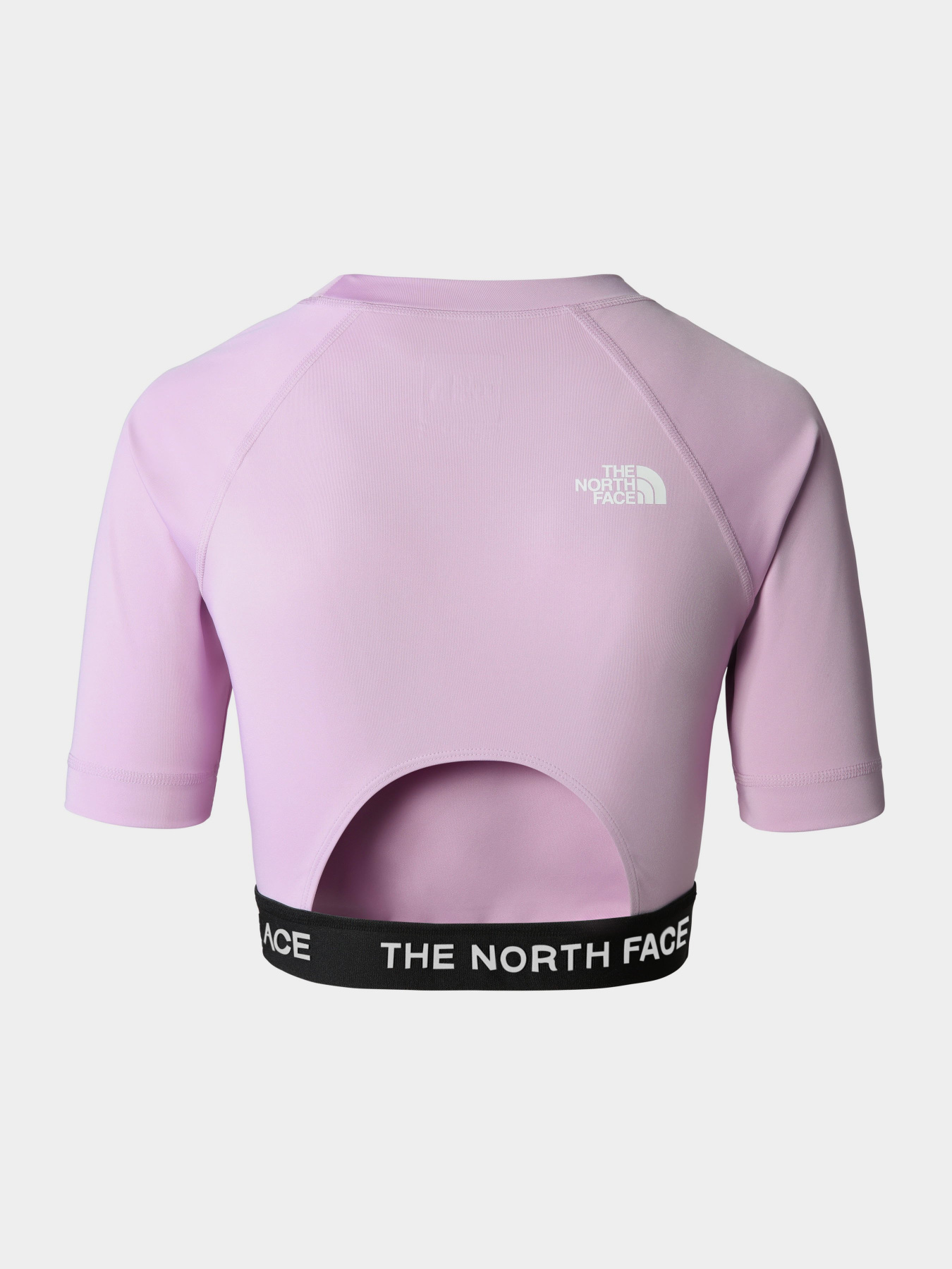 Футболки і поло The North Face Performance модель NF0A824FHCP1 Футболки і поло The North Face Performance модель NF0A824FHCP1 Фото