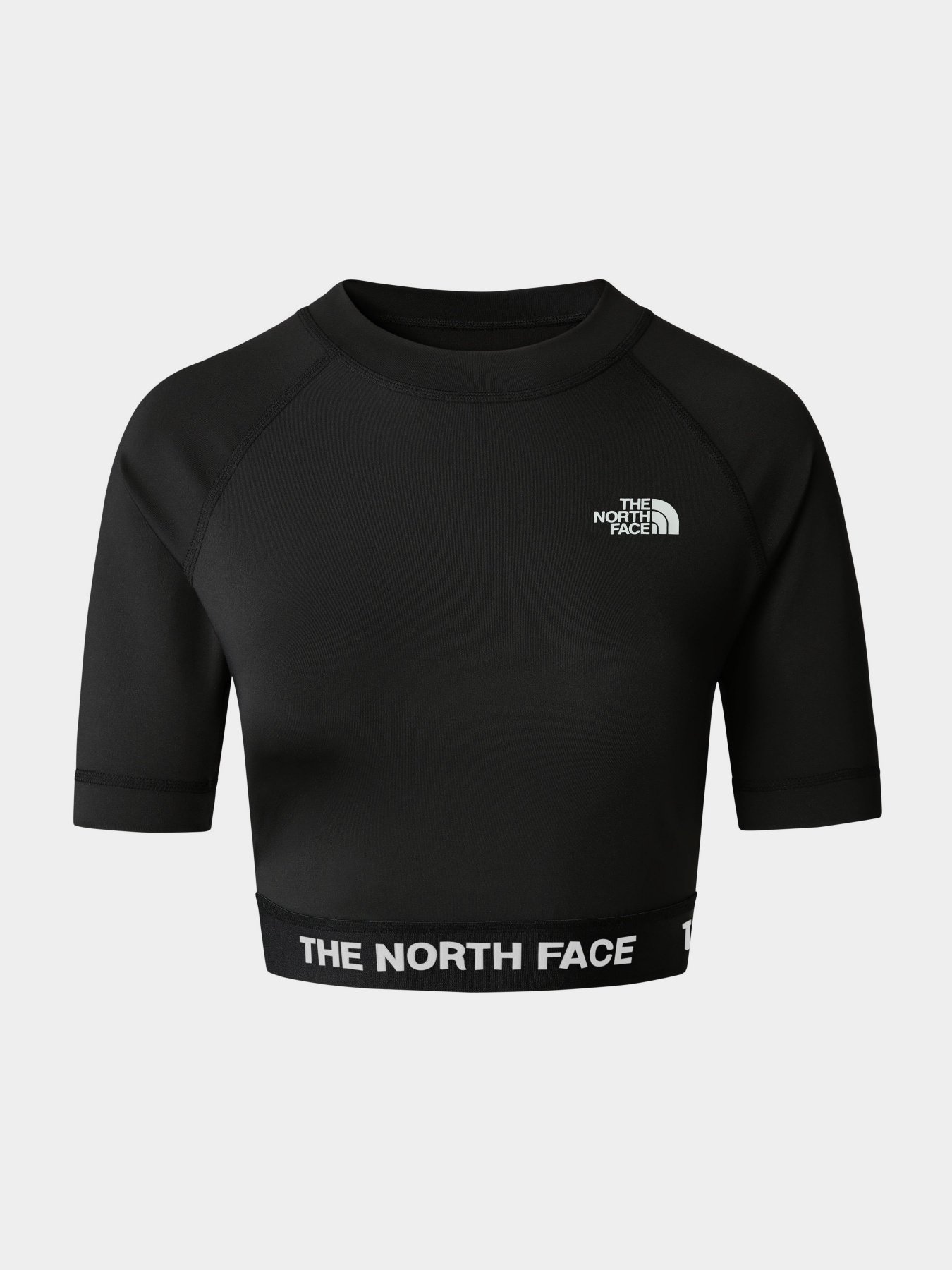 Футболки і поло The North Face Performance модель NF0A824FJK31 Футболки і поло The North Face Performance модель NF0A824FJK31 Фото