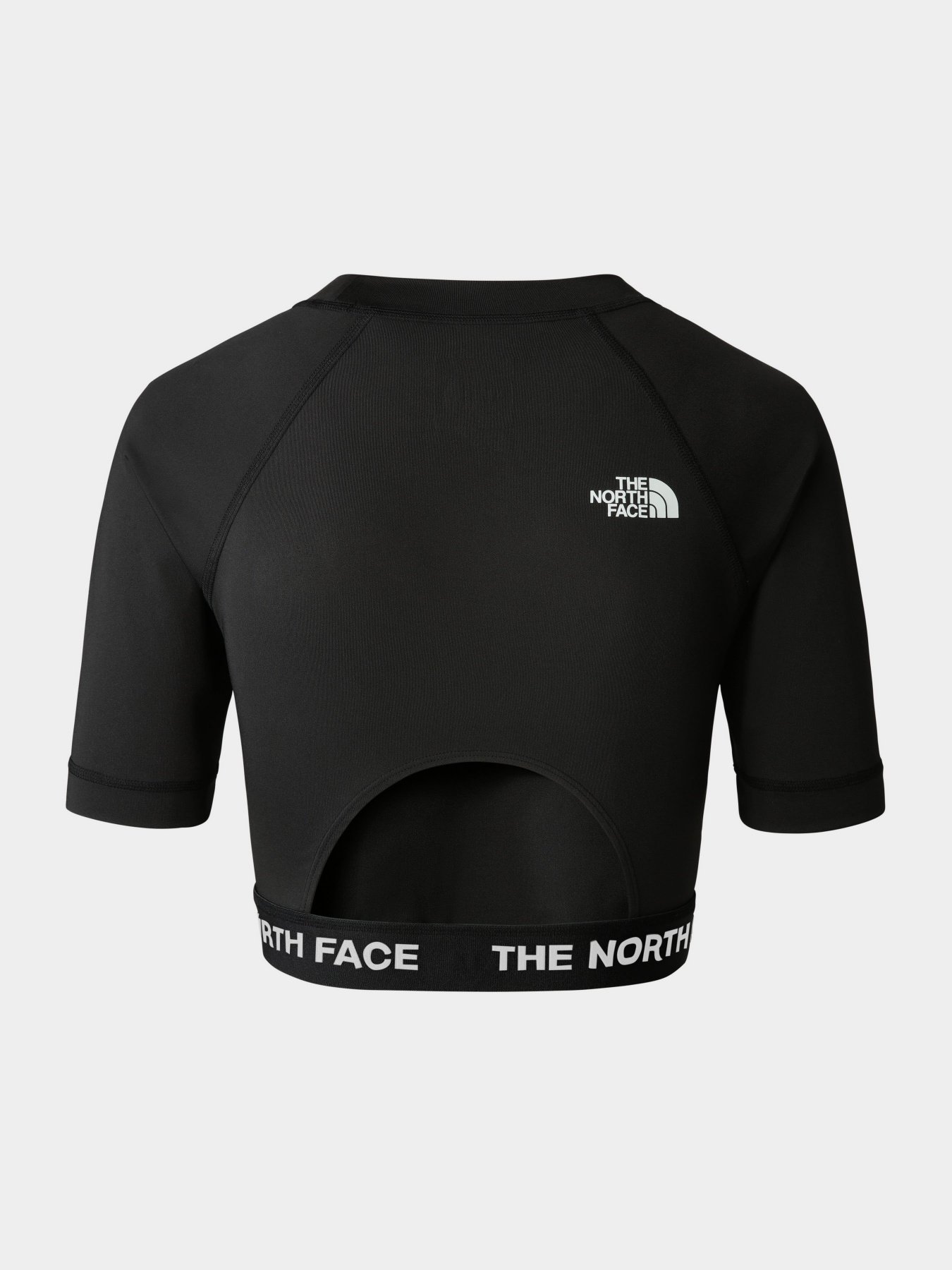Футболки і поло The North Face Performance модель NF0A824FJK31 Футболки і поло The North Face Performance модель NF0A824FJK31 Фото