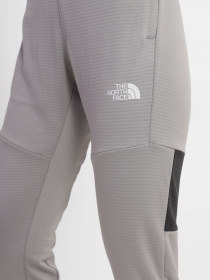 Штани The North Face Mountain Athletics модель NF0A824RTDN1 Фото