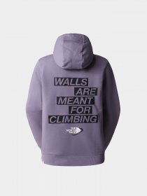 Худи и свитшоты The North Face Outdoor Graphic модель NF0A827LN141 Фото