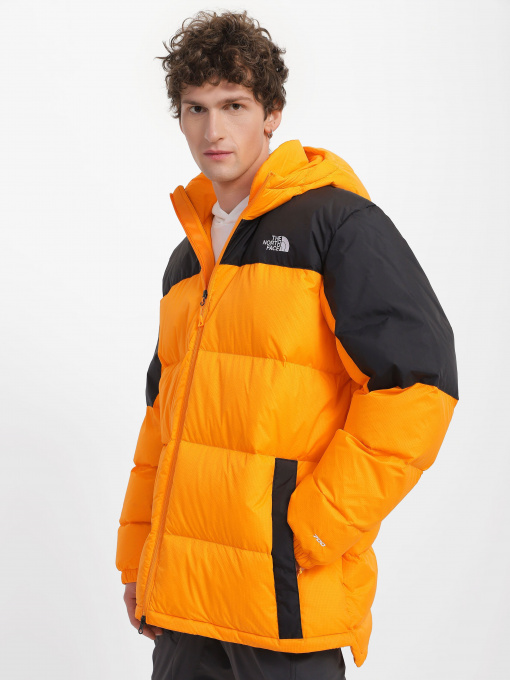 Куртки и дубленки The North Face Diablo модель NF0A4M9L7Q61 Фото