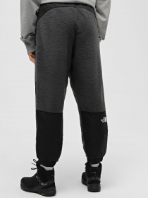 Штани The North Face Fleeski Y2K модель NF0A852KMN81 Фото